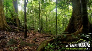 Mount Tambuyukon Expedition  